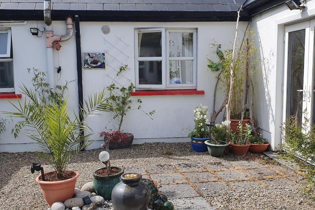 Cosy Self Contained Cottage With Stunning Views Killaloe Eksteriør bilde